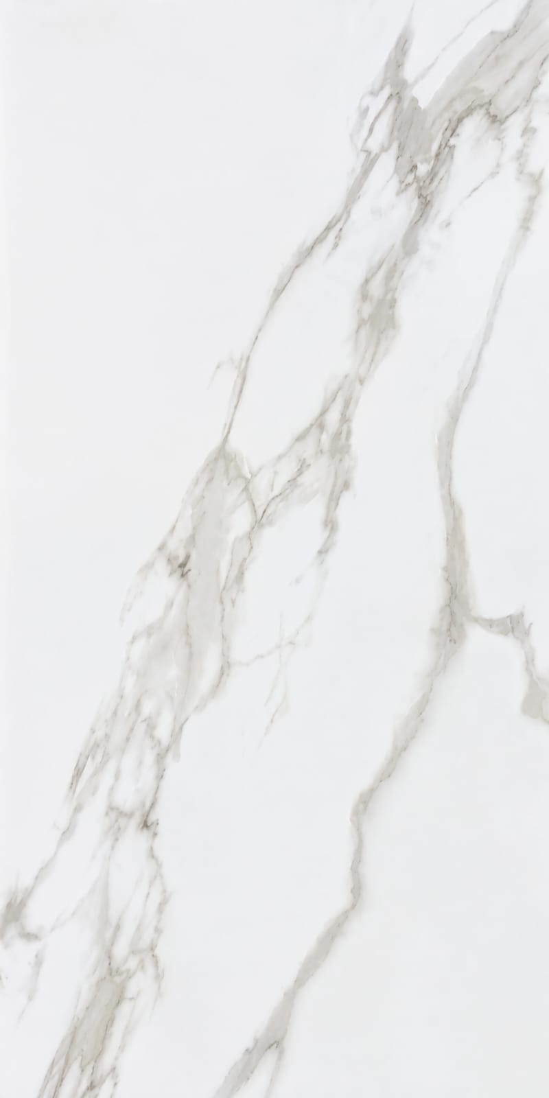 PLATINUM 30X60 REC TARA BROWN